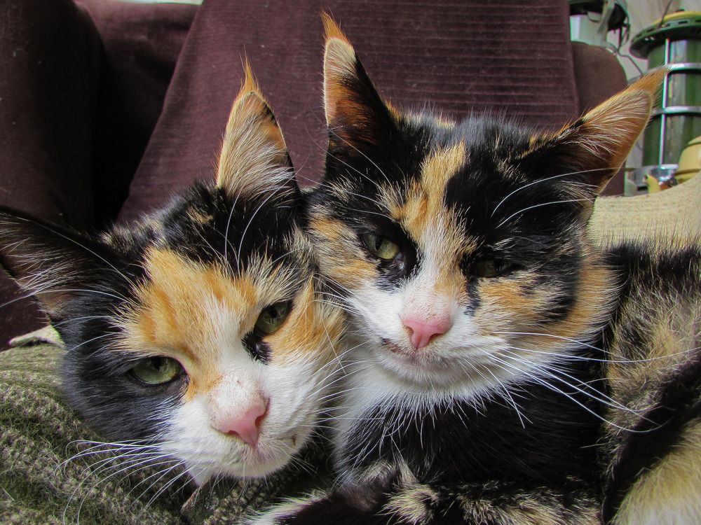 Photograph by Moein Gheysari