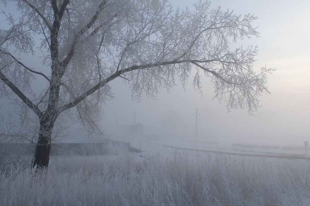 Фотография автора Евгений Ошаров
