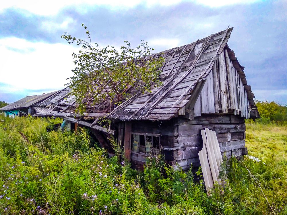 Photograph by Михаил Мархинин