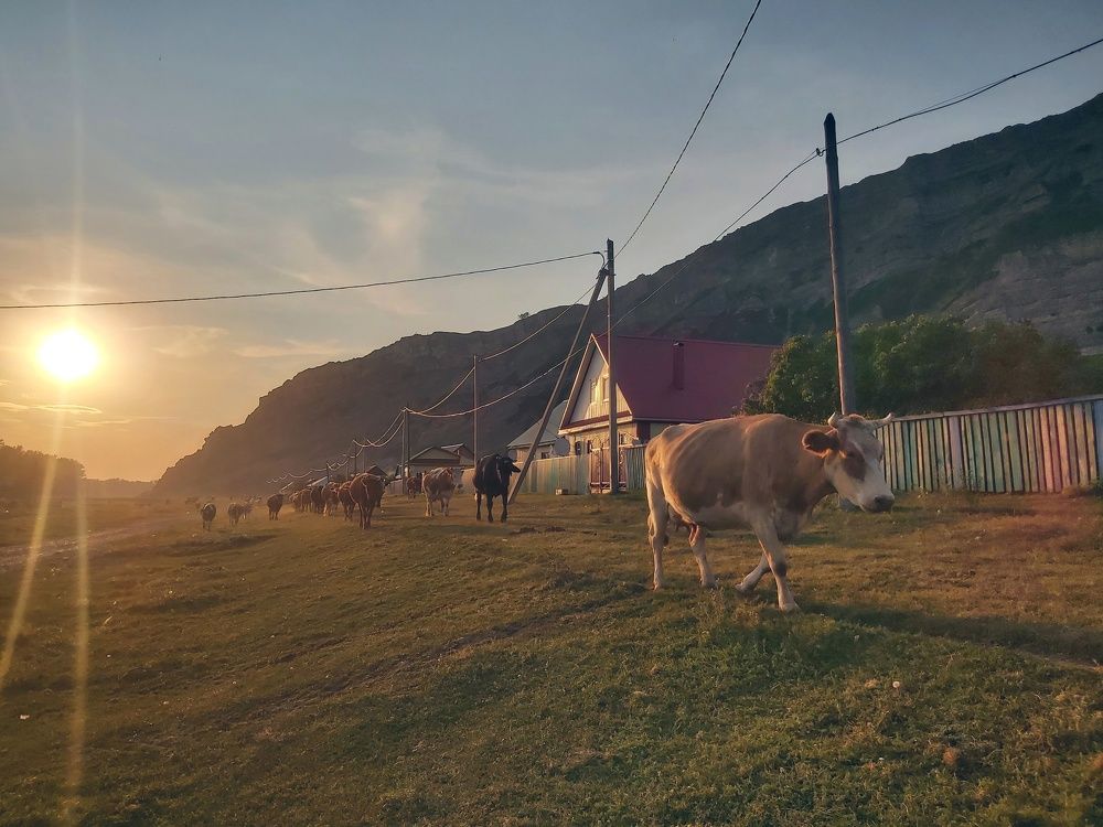 Photograph by Олег Лебедев