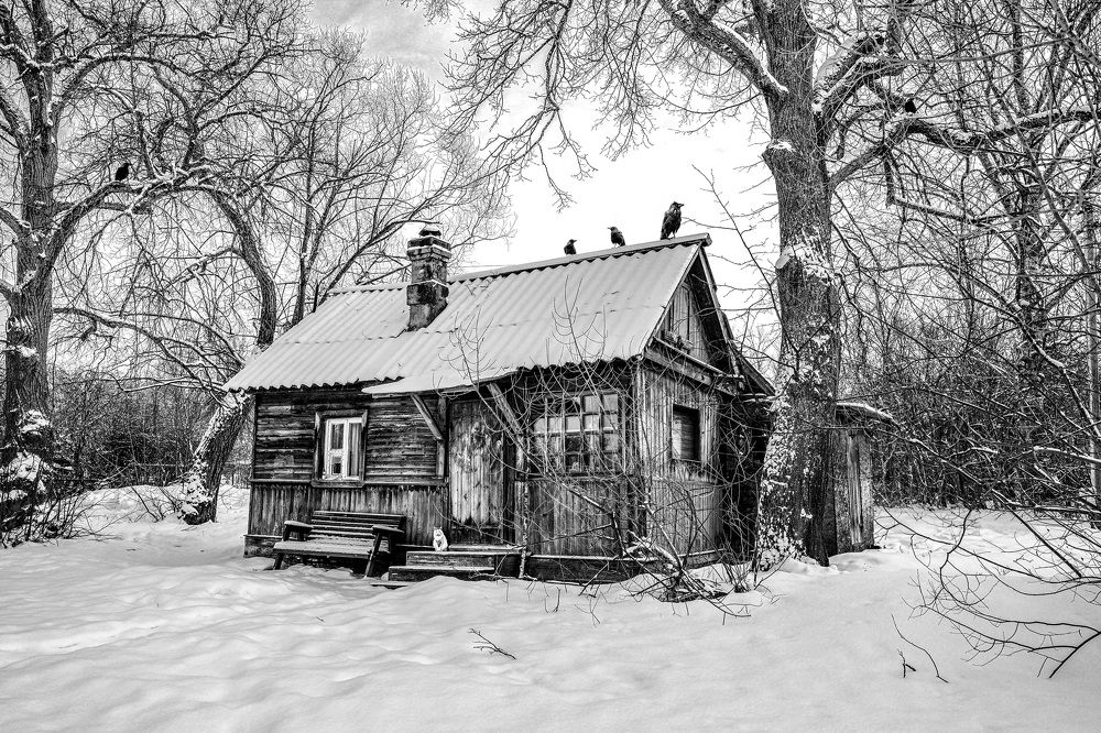 Photograph by Елена Ермакова