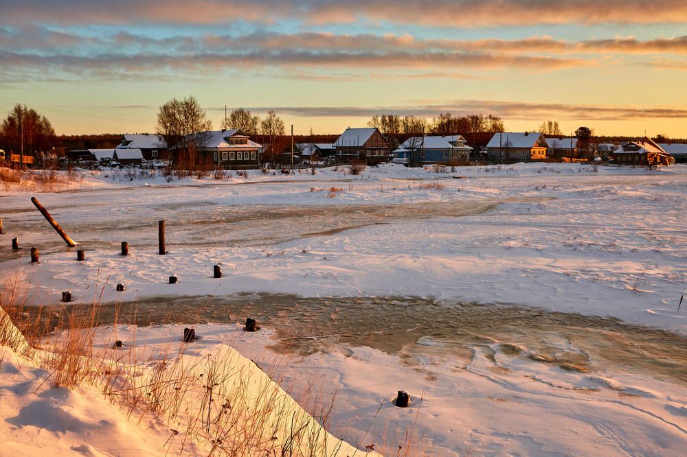 Фотография автора Totoro D