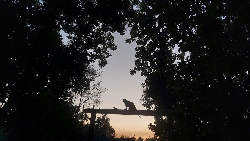 Photograph by Piyali Dutta