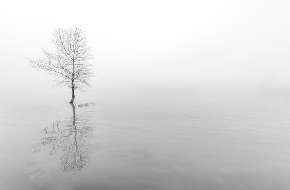 Фотография автора Konstantin Vladov