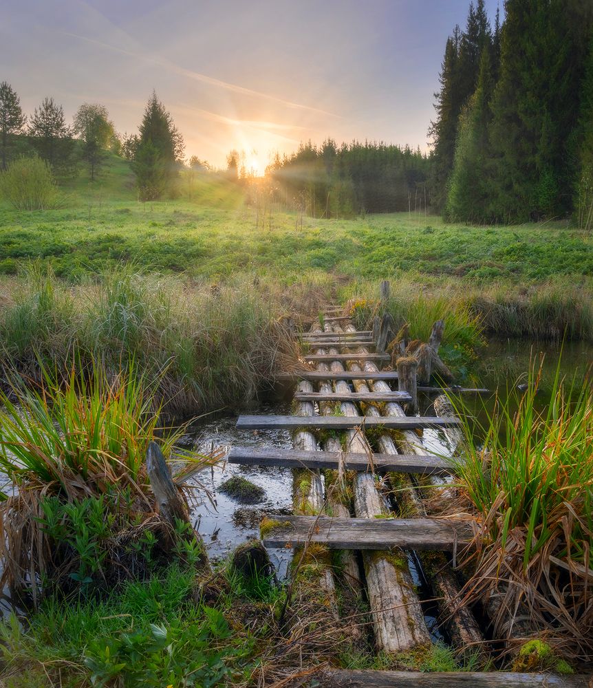 Photograph by Сергей Буторин