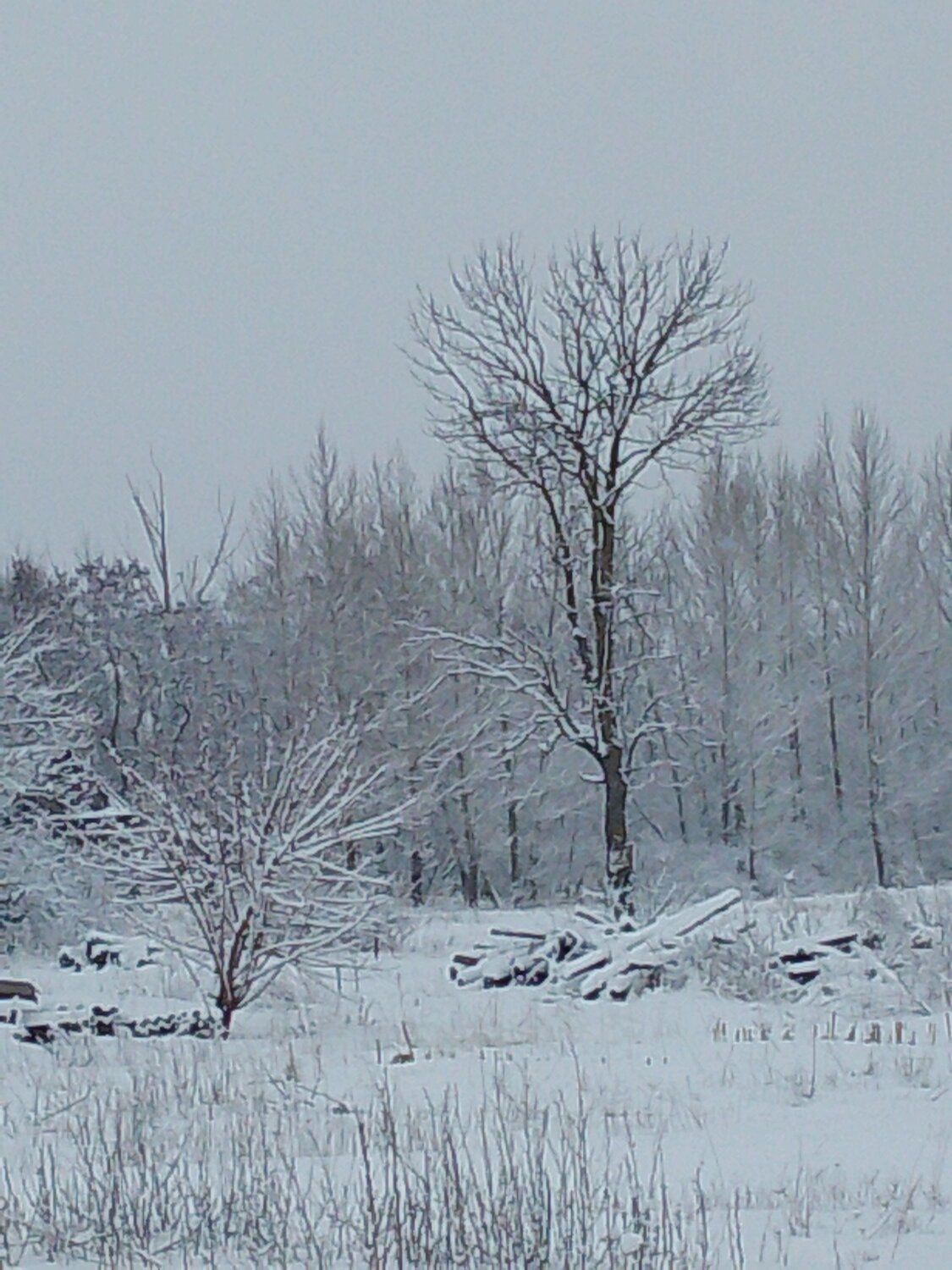Photo #10210448