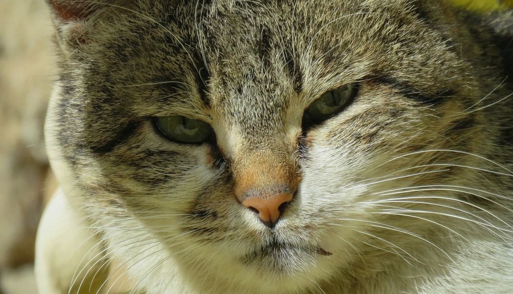 Photograph by Moein Gheysari