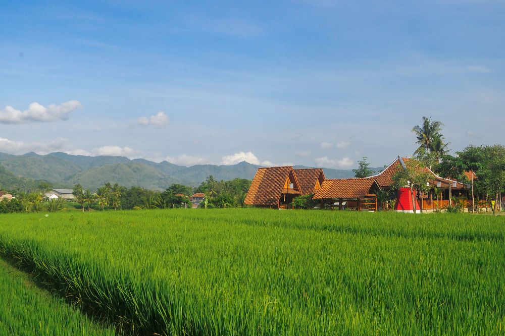 Photograph by Maryanto