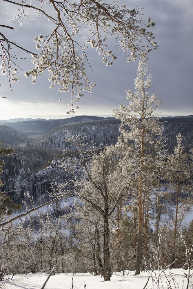 Фотография автора Веста Ягужинская