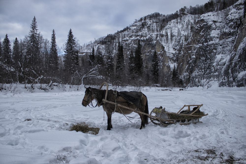 Фотография автора Веста Ягужинская