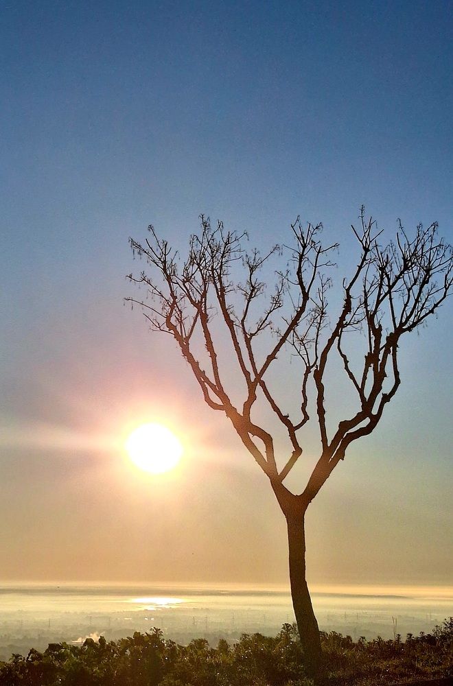 Photograph by Patrícia Pinto