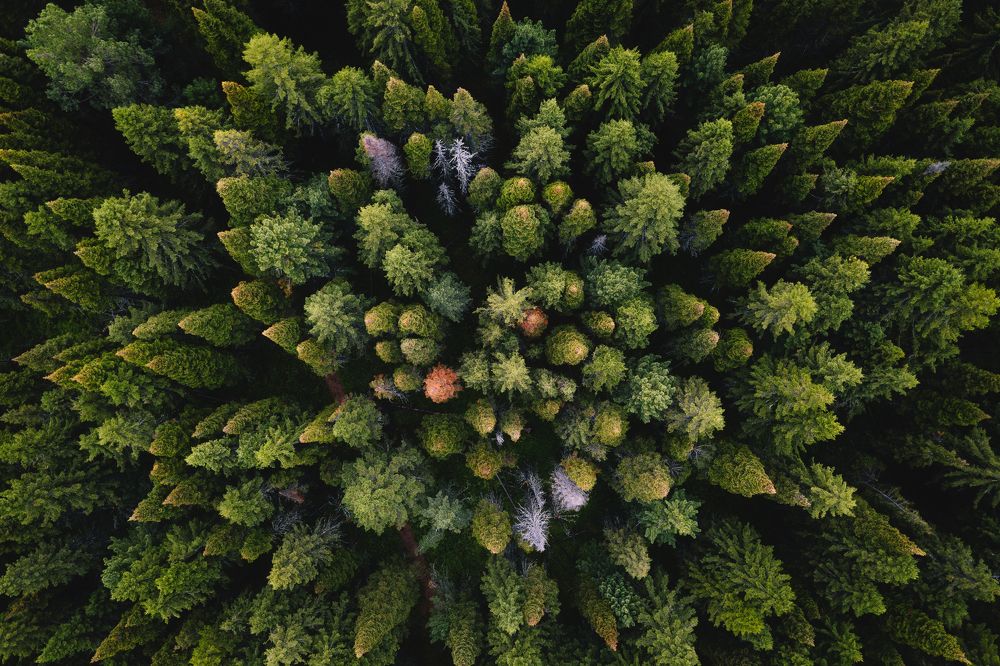 Photograph by Андрей Белавин