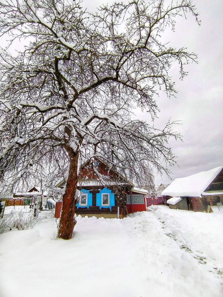 Photograph by Олеся Бронзова