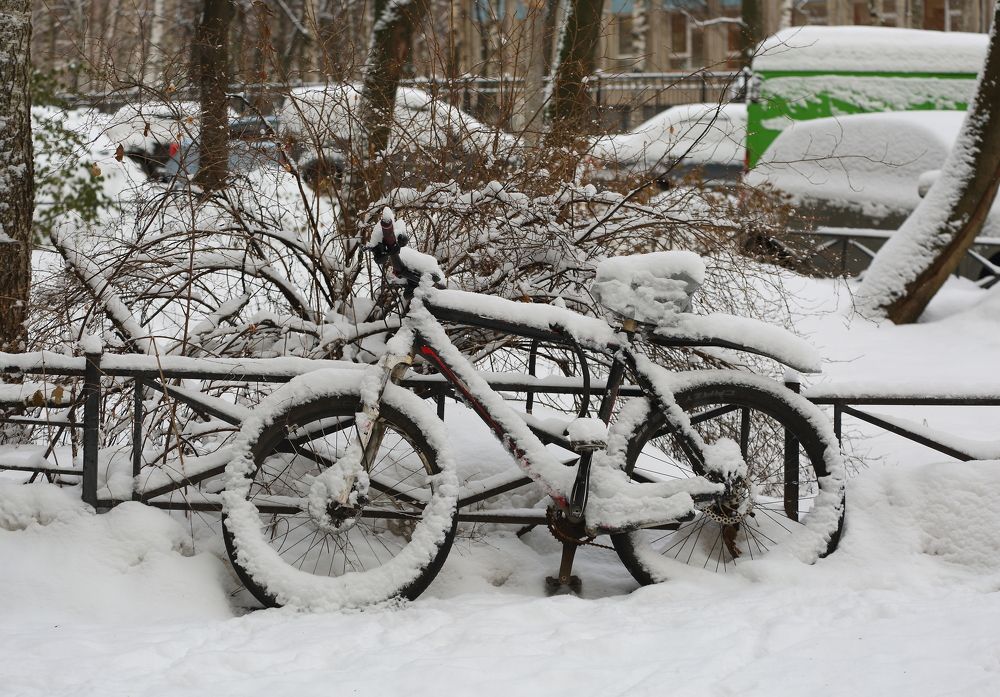 Photograph by Станислав Вершинин