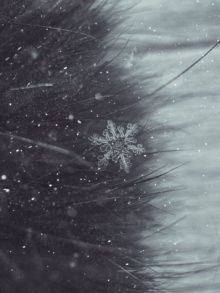 Photograph by Татьяна Галаева