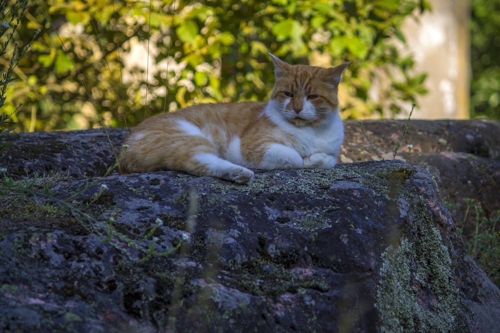 Photograph by Вячеслав Булатов