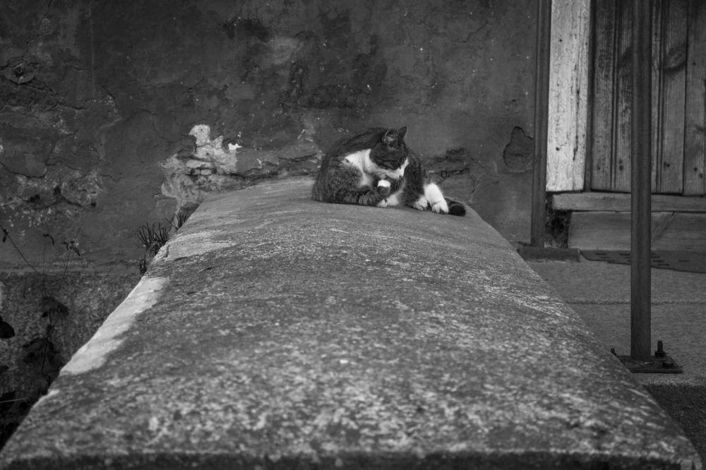 Photograph by Вячеслав Булатов