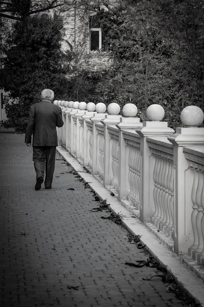 Photograph by Ольга