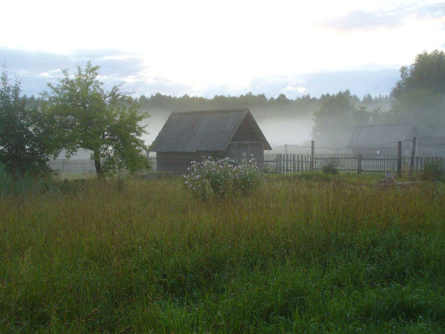 Photo #10210928
