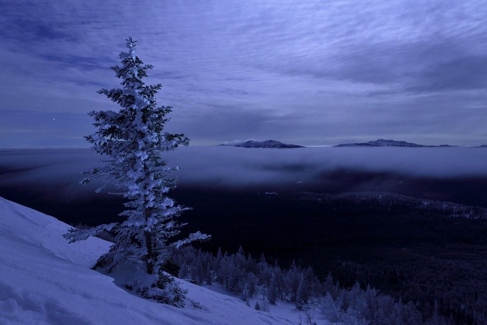 Photograph by Павел Фёдоров