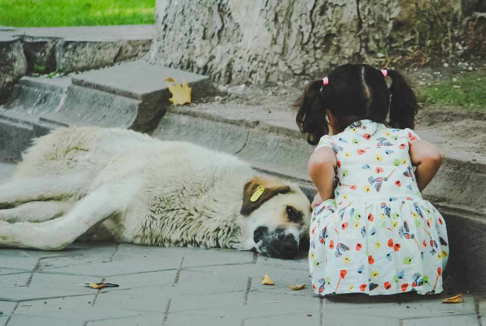 Добрая фотография