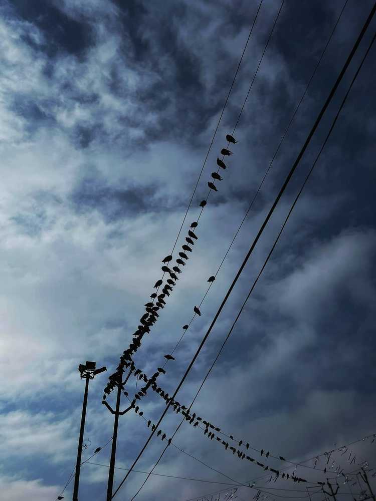 Photograph by Masaba Masud Mina