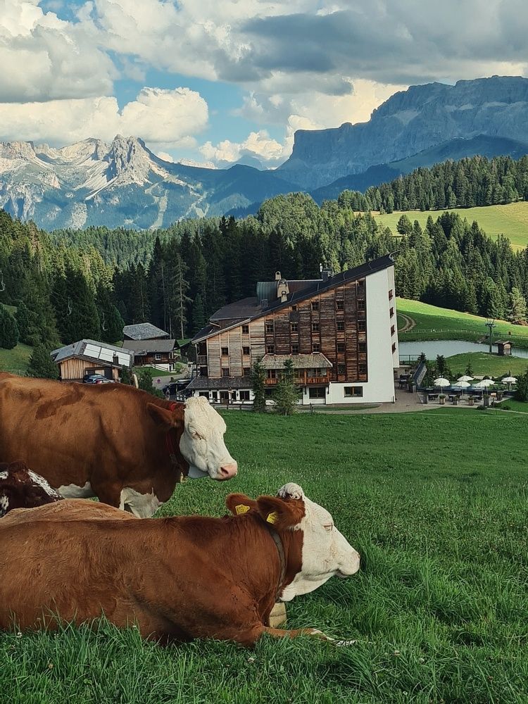 Photograph by Yulia Bilato