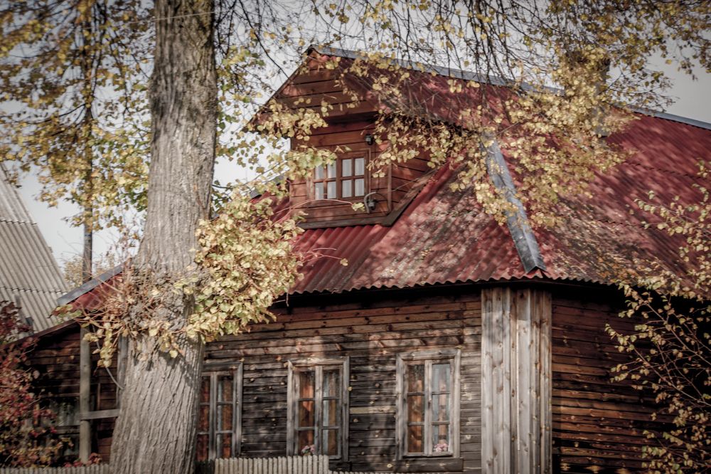 Photograph by Виктория Лаур