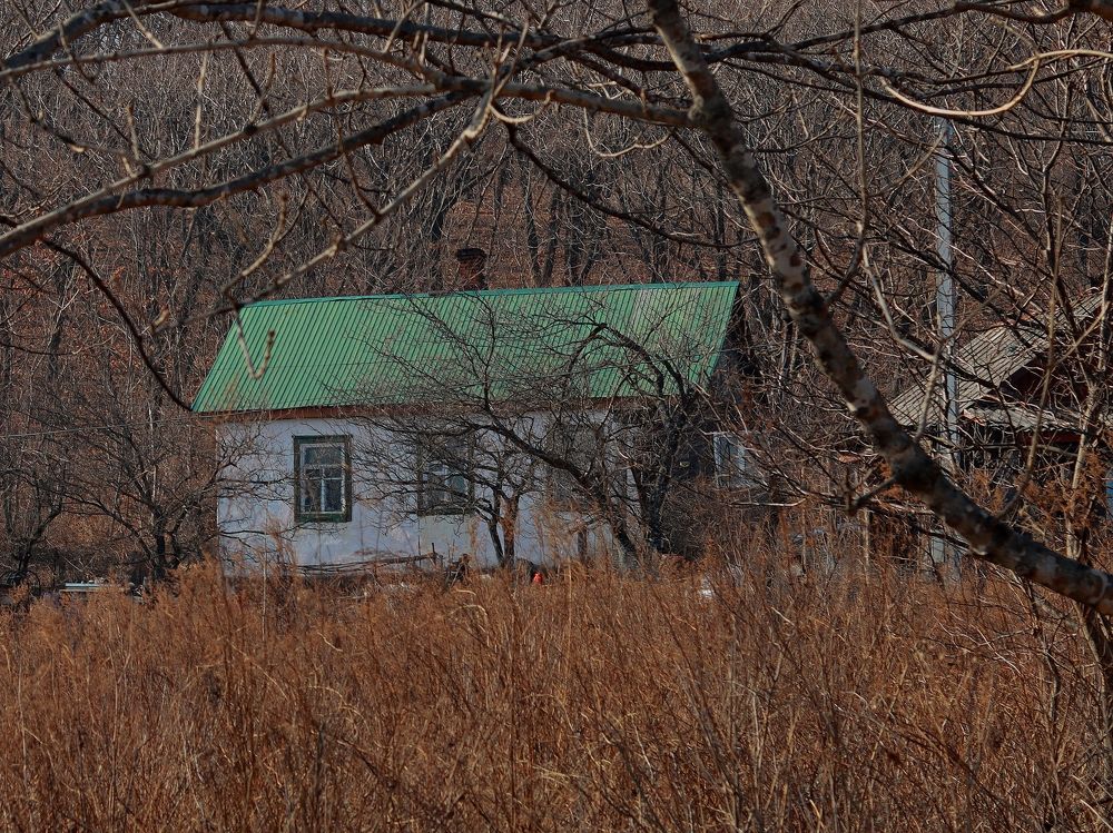 Photograph by Нина Ларина