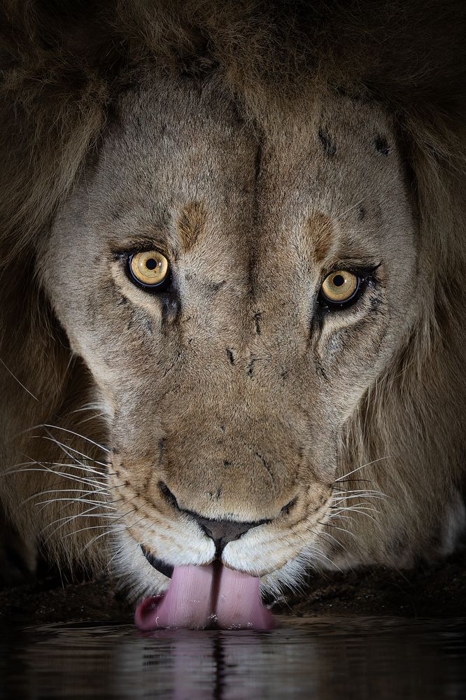 The Look of imminent death