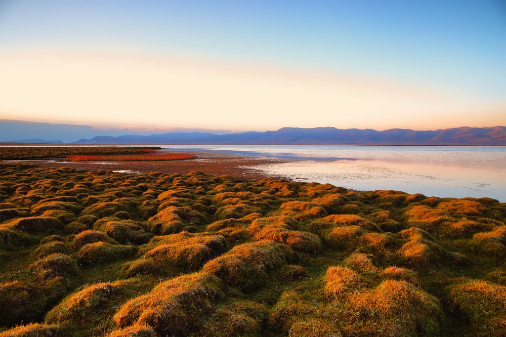 Планета Сон-Куль