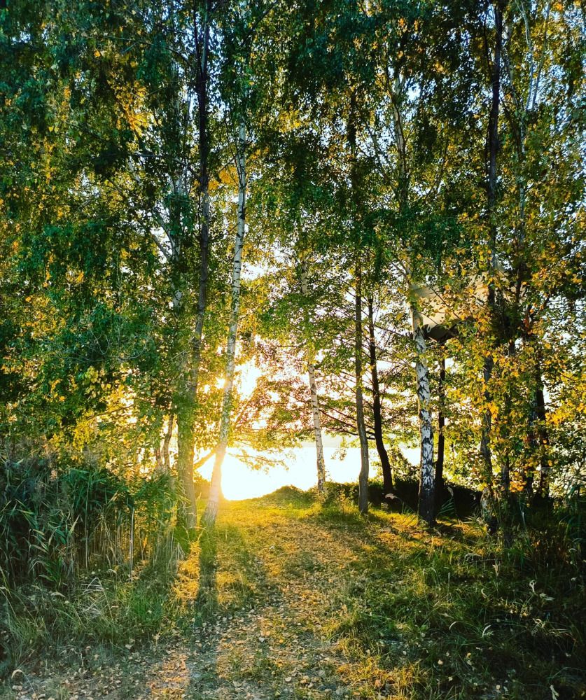 Photograph by Губарева Мария Александровна