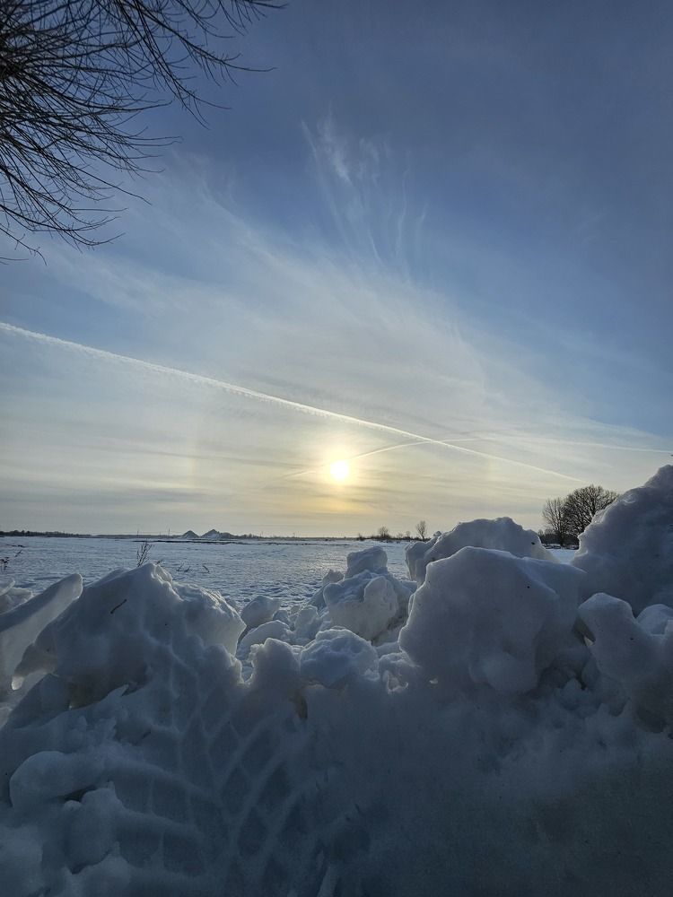 Photograph by Elena N.