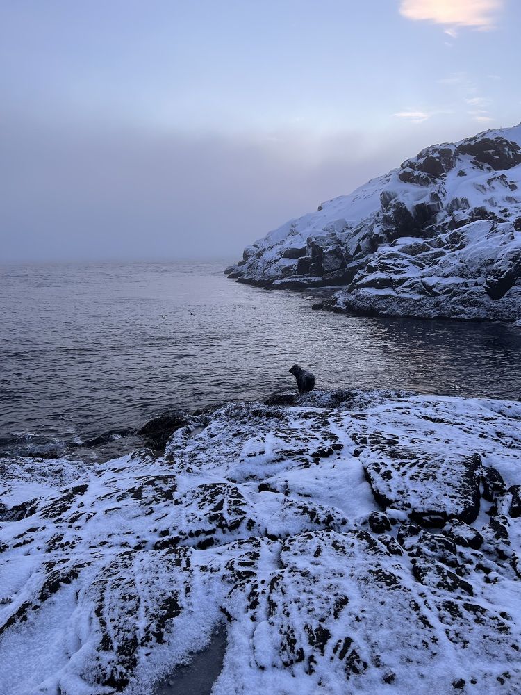 Жутко красивый Север