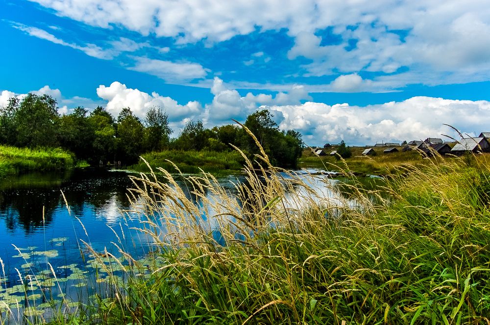 Фотография автора Олег Анатольевич Загорулько