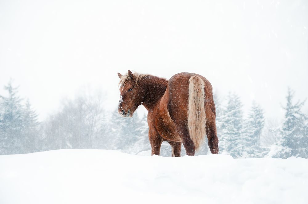 Photograph by Вероника Романенко