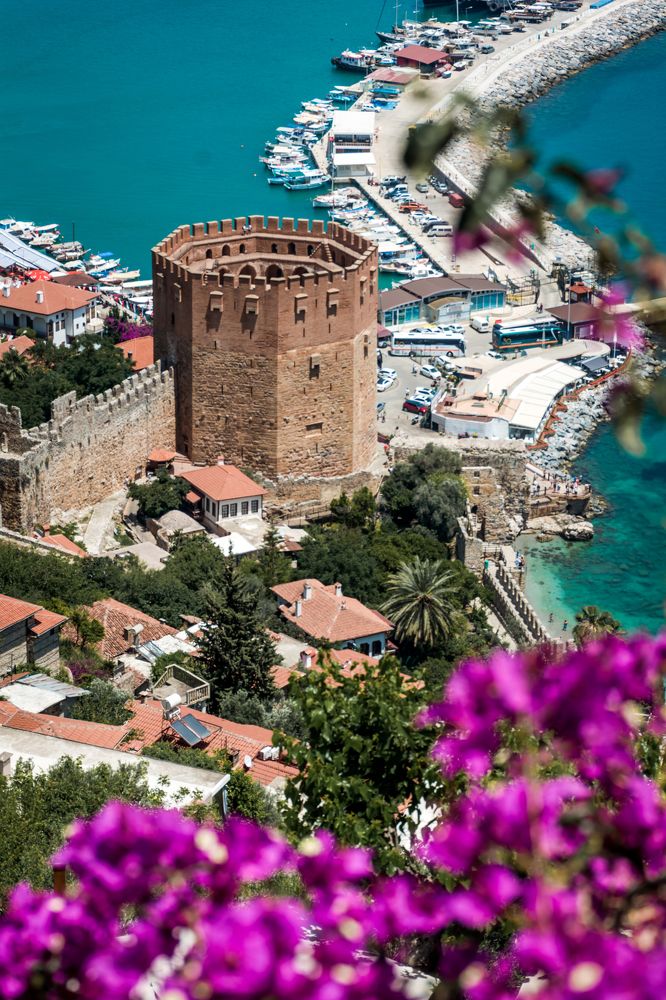 Photograph by Юлия Подлеснова