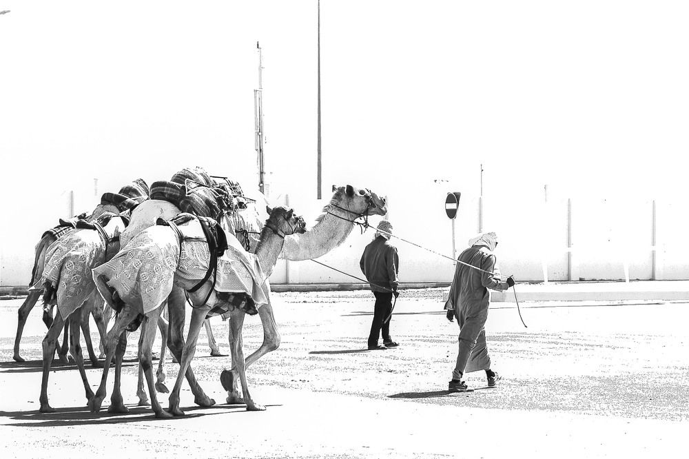 Photograph by Arnab Sarkar