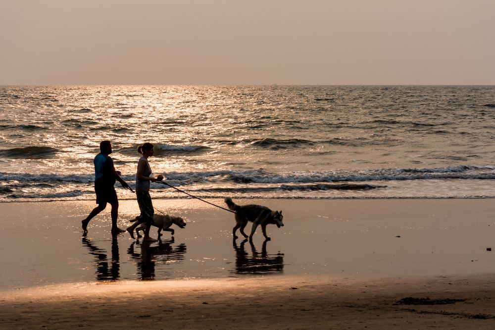 Photograph by Юлия Подлеснова