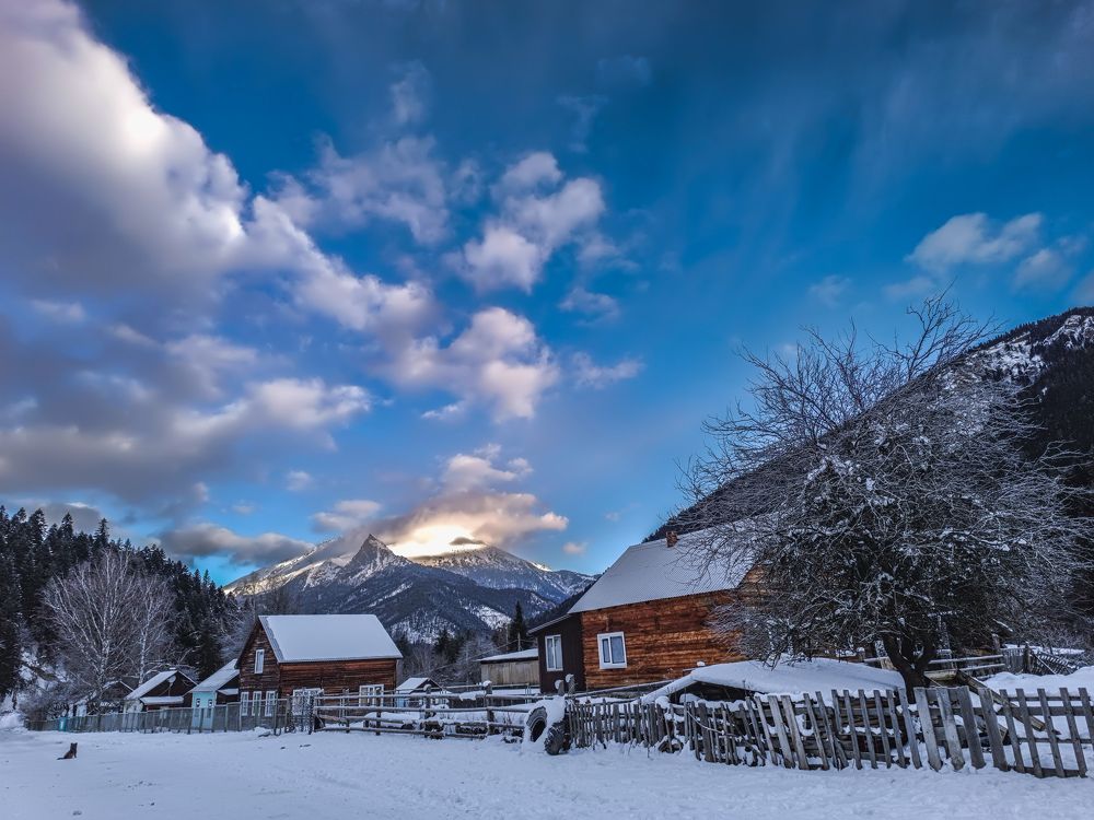 Фотография автора OXANA MARSOVA