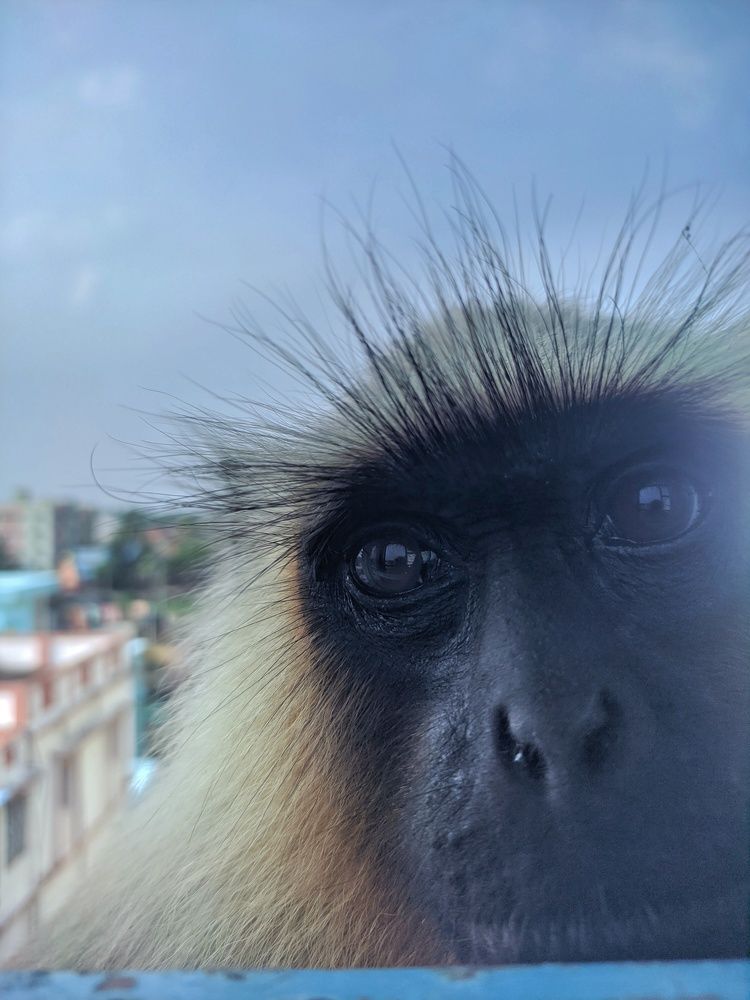 Photograph by Debayan Bag