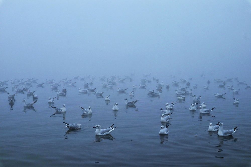 Фотография автора sachin gaurav