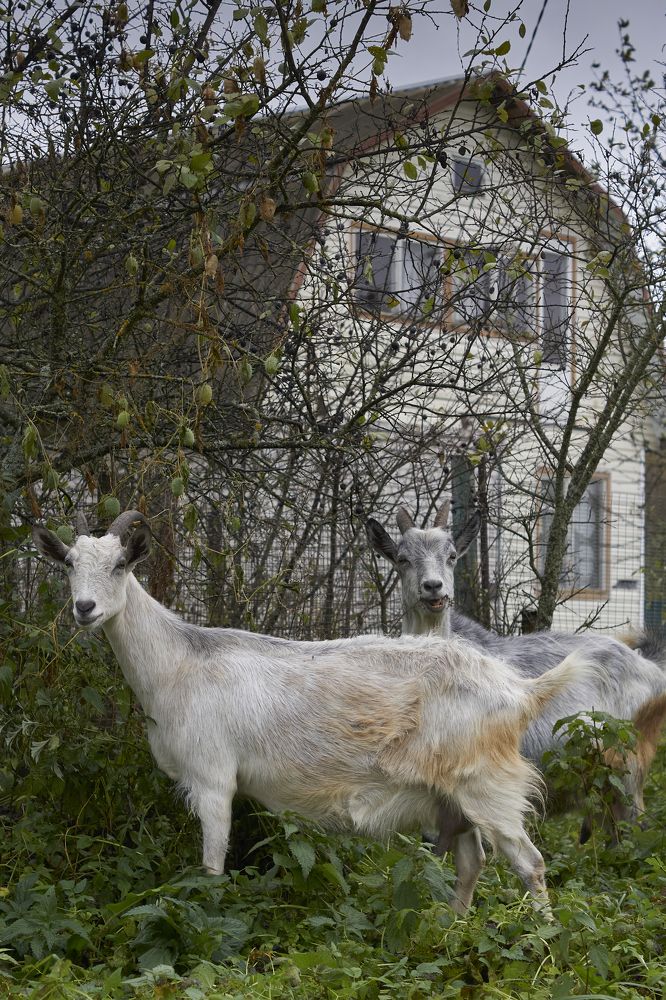 Photograph by Гюзель Даугуль