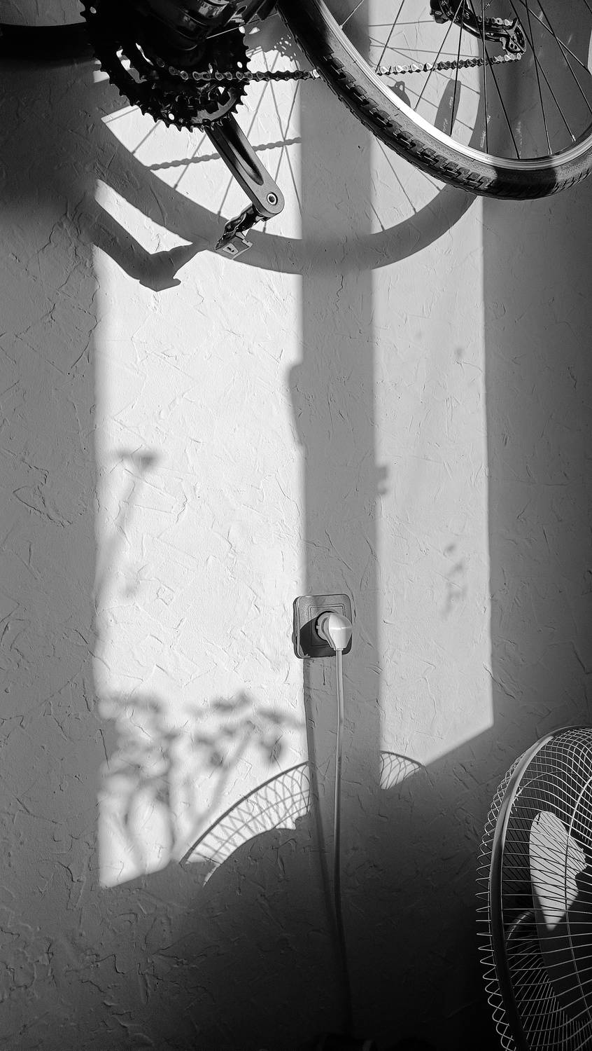 Photo #10211475