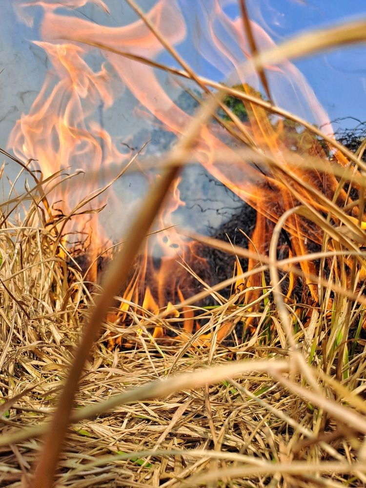 Worm's Eye View