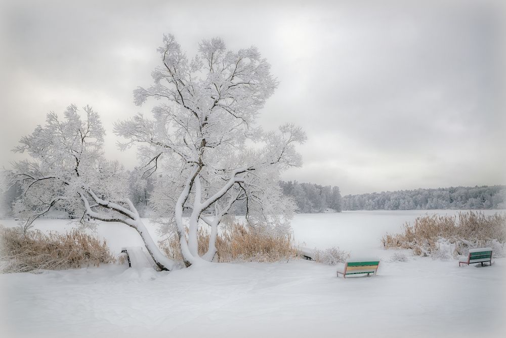 Photograph by Сергей Аникин