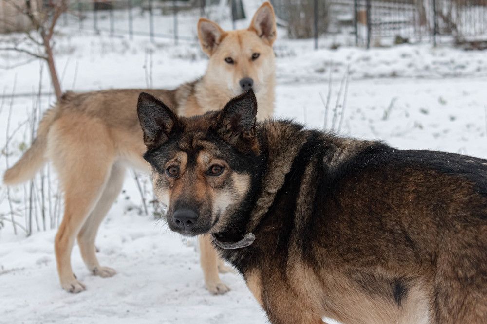 Photograph by Михаил Костыря