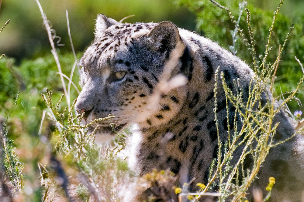 Photograph by Vladimir Tugalev