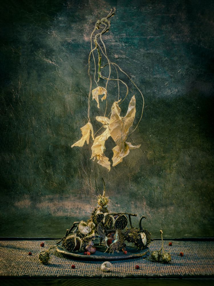 Photograph by Линар