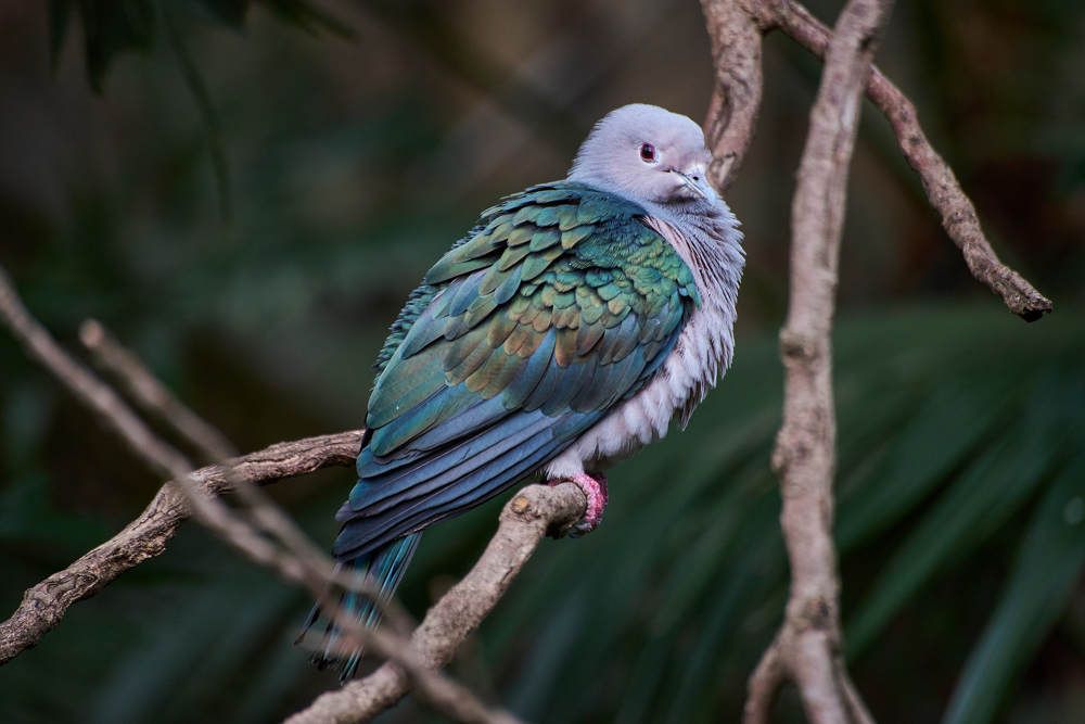 Photograph by Дмитрий Солодухин